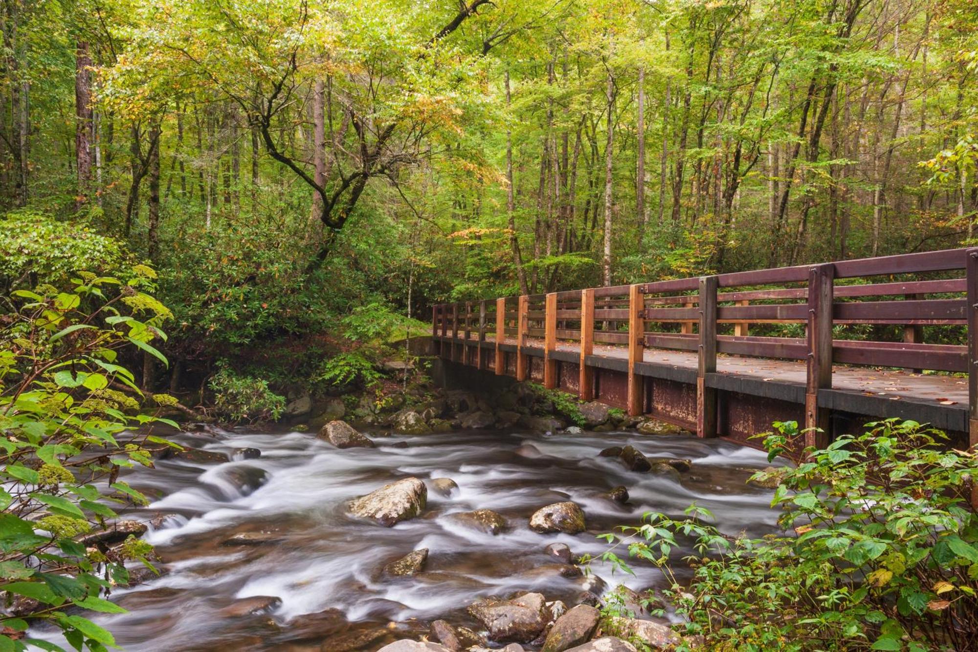 Wilderness Lodge, Hot Tub, Game Room, Pool Access, 1089 Free Tickets Each Paid Day, Dollywood And M Sevierville Luaran gambar